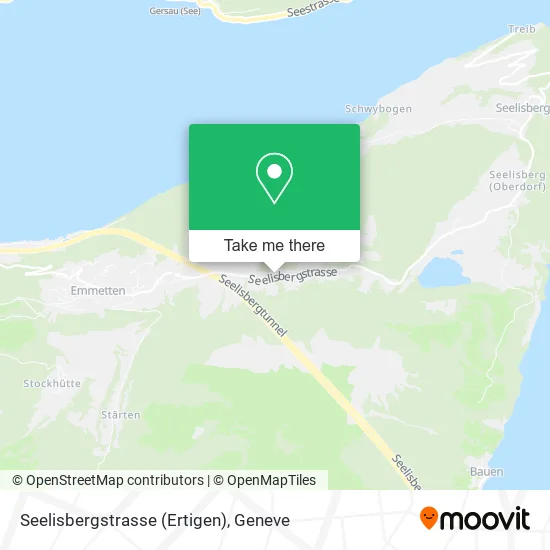 Seelisbergstrasse (Ertigen) map