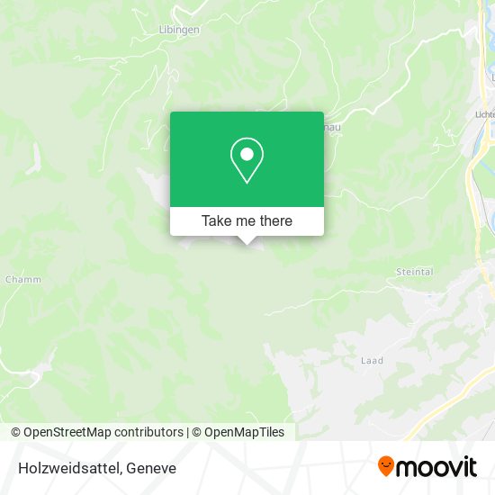 Holzweidsattel map