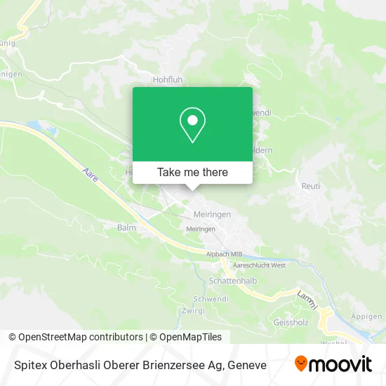 Spitex Oberhasli Oberer Brienzersee Ag map