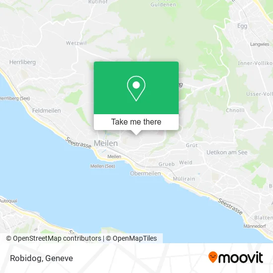 Robidog plan