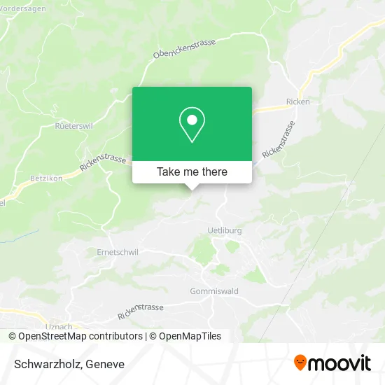 Schwarzholz map
