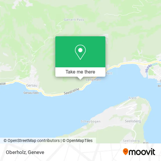 Oberholz map