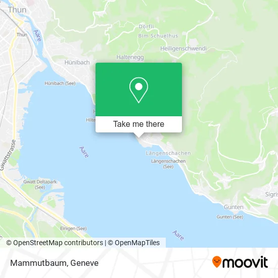 Mammutbaum map