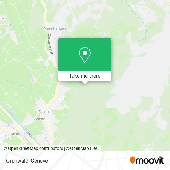 Grünwald map