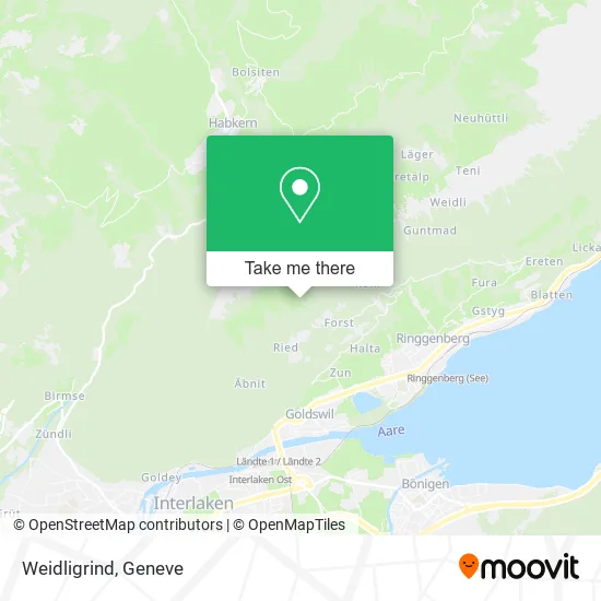 Weidligrind plan