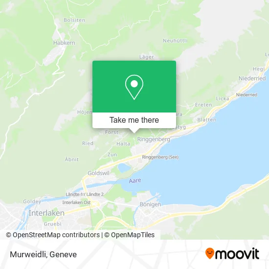 Murweidli map