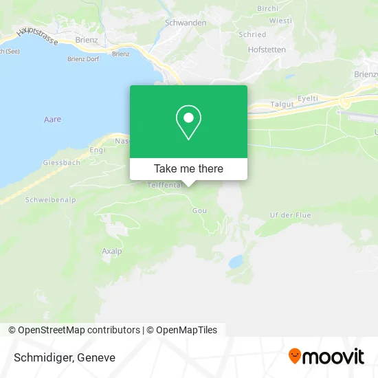 Schmidiger map