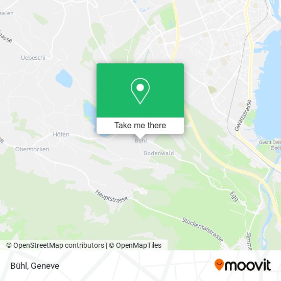 Bühl map