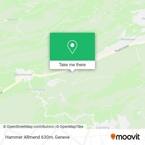 Hammer Allmend 630m map
