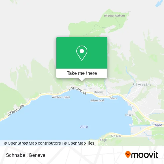 Schnabel map