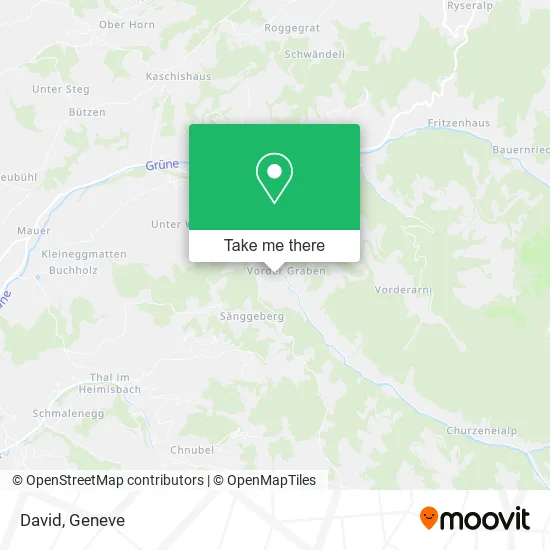David map