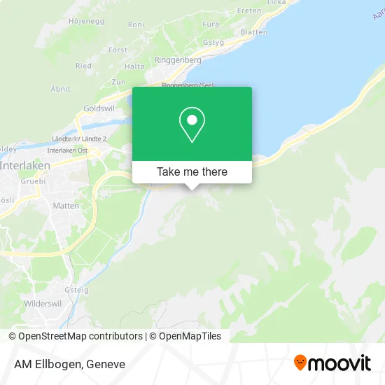 AM Ellbogen plan
