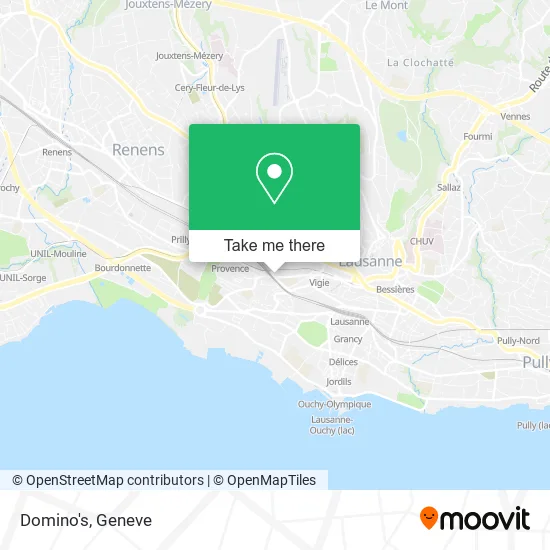 Domino's map