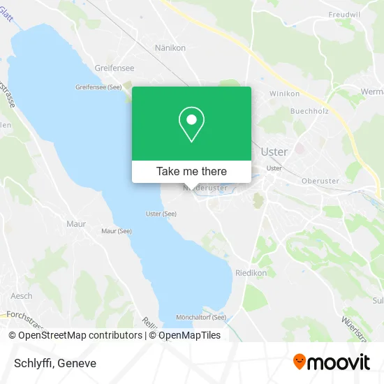 Schlyffi map