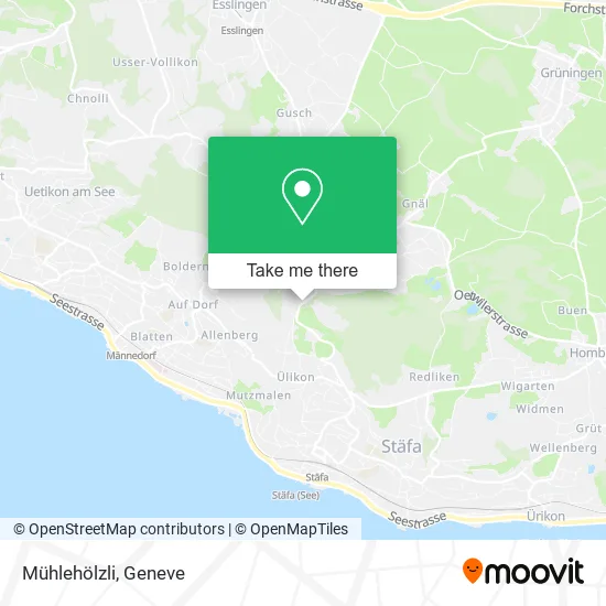 Mühlehölzli map