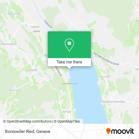 Boniswiler Ried map