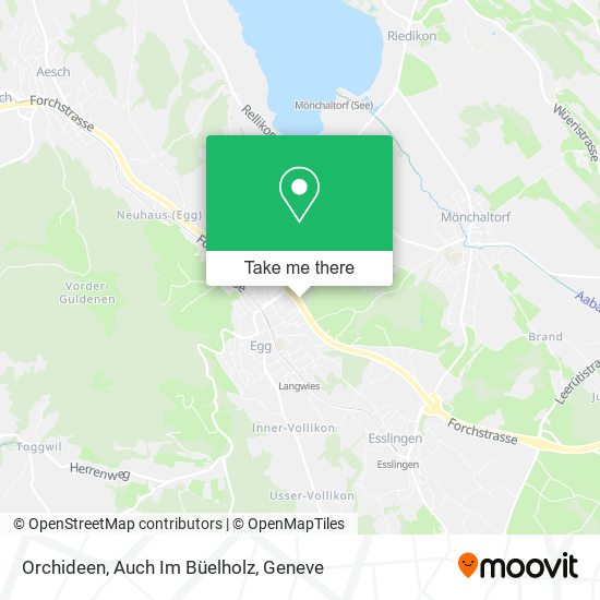 Orchideen, Auch Im Büelholz map
