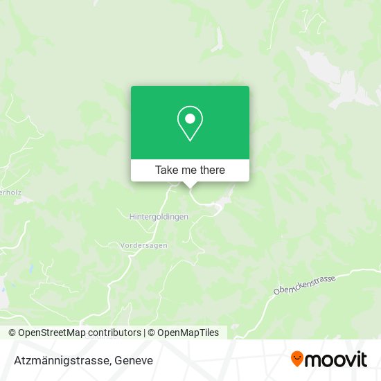 Atzmännigstrasse map