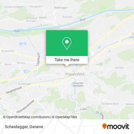 Scheidegger map