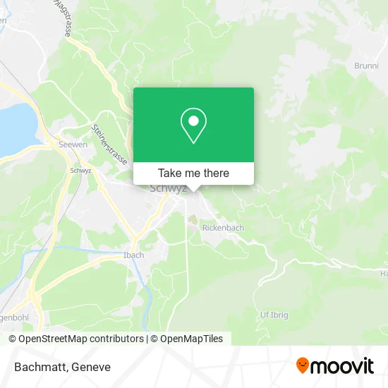 Bachmatt map