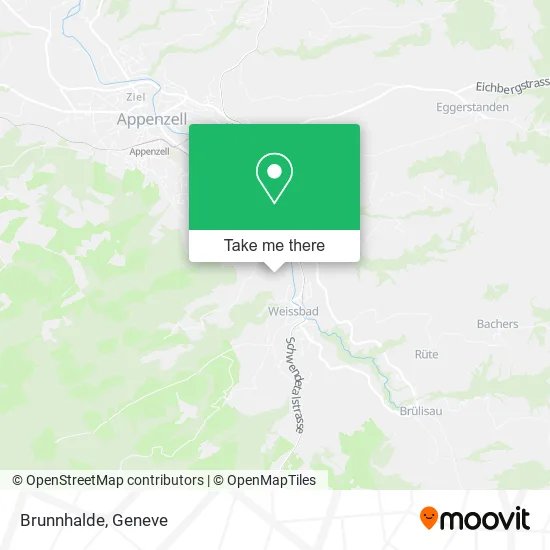Brunnhalde map