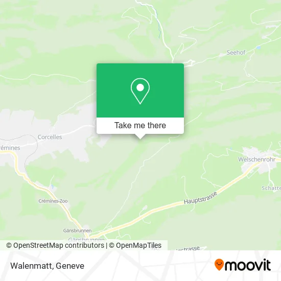 Walenmatt plan