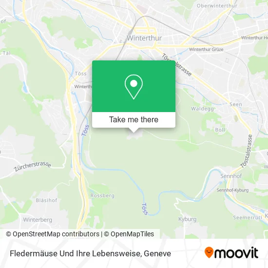 Fledermäuse Und Ihre Lebensweise map