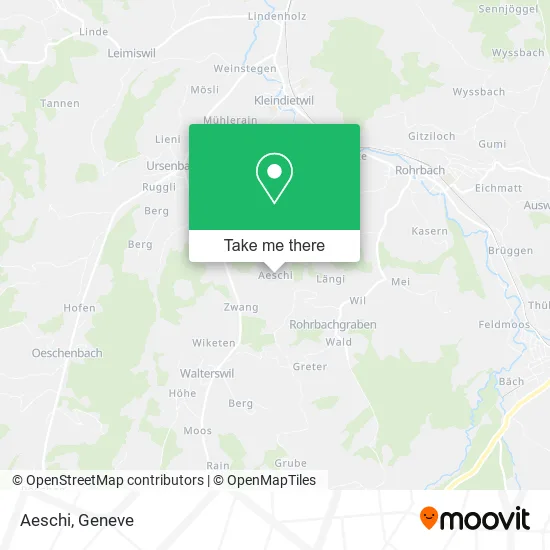 Aeschi plan