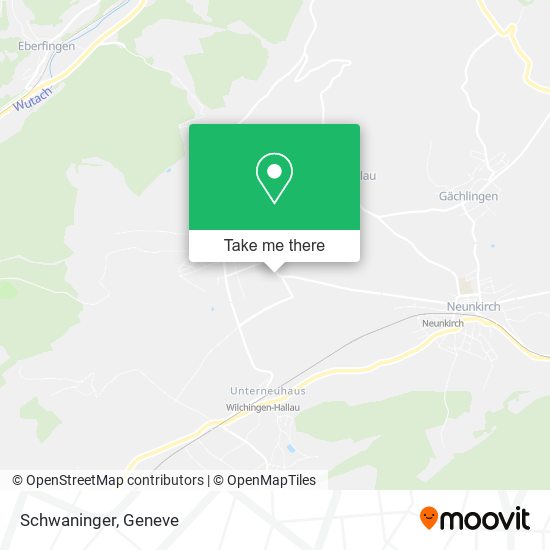 Schwaninger map