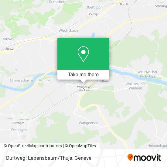 Duftweg: Lebensbaum/Thuja map