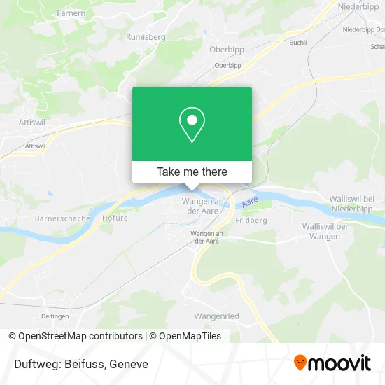 Duftweg: Beifuss map