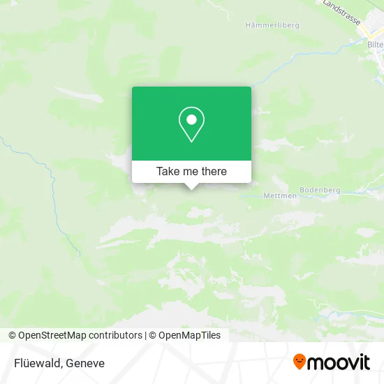 Flüewald map