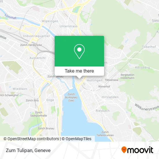 Zum Tulipan map