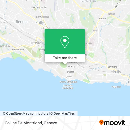 Colline De Montriond map