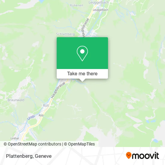 Plattenberg map