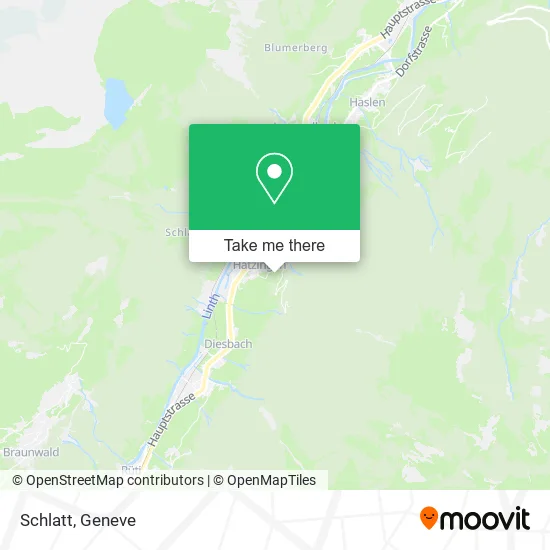 Schlatt map