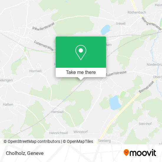 Cholholz map