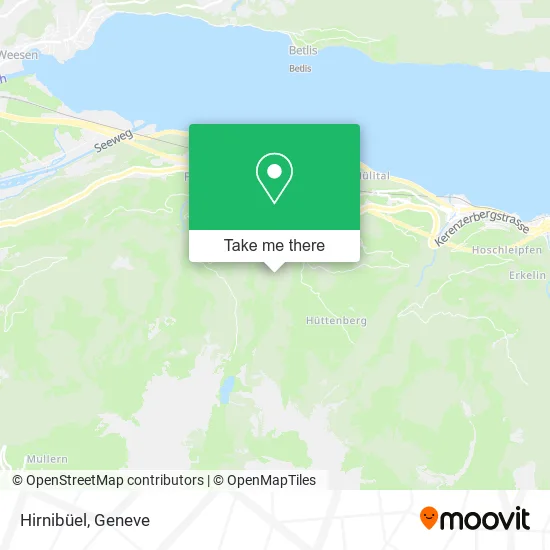 Hirnibüel plan