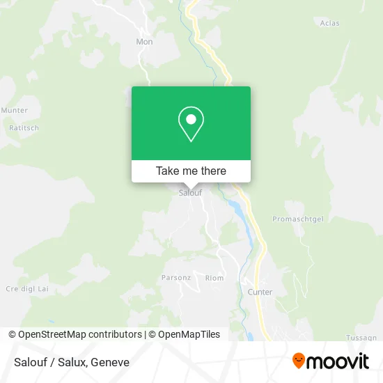 Salouf / Salux map