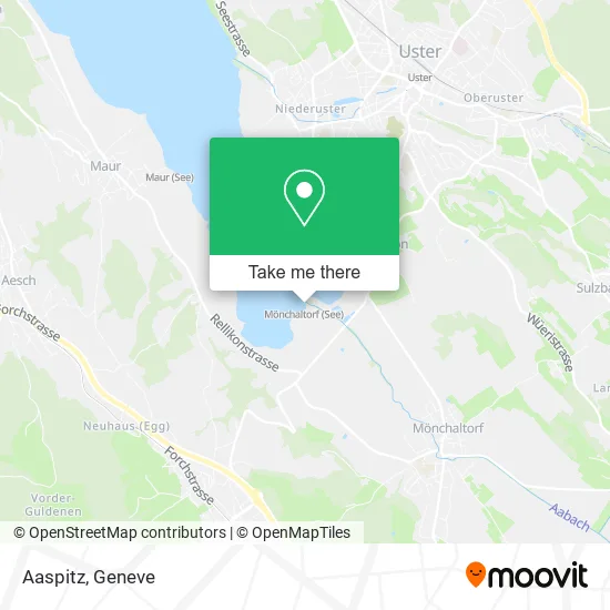 Aaspitz plan