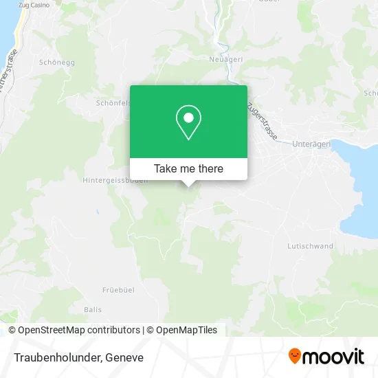 Traubenholunder map