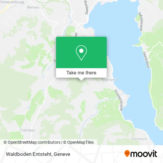 Waldboden Entsteht map