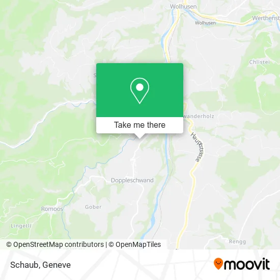 Schaub map