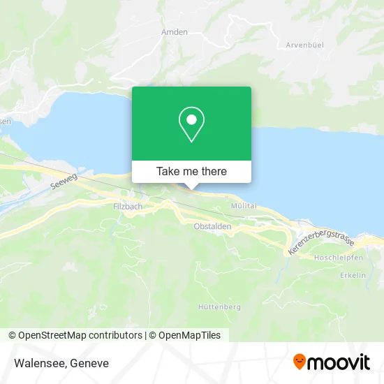 Walensee plan