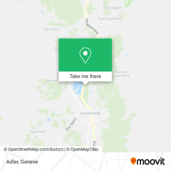 Adler map