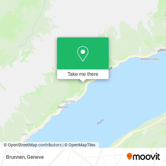 Brunnen map