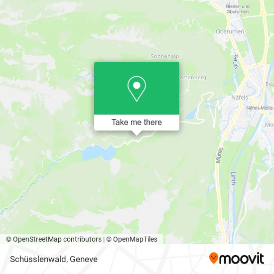 Schüsslenwald map