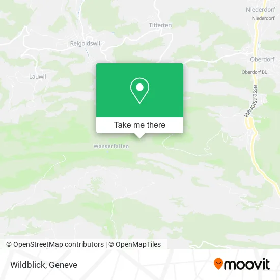Wildblick map