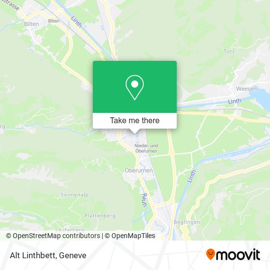 Alt Linthbett map