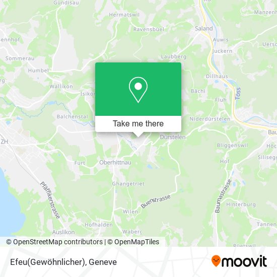 Efeu(Gewöhnlicher) map